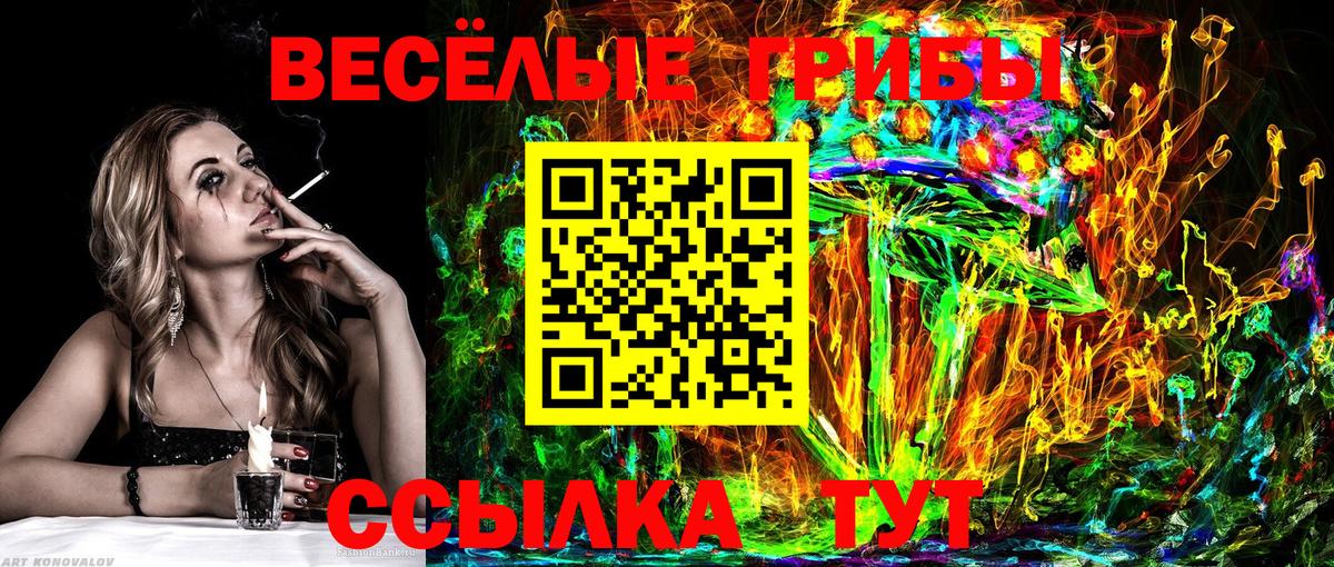 Воркута  Галлюциногенные грибы Magic Shrooms  Вход с VPN 